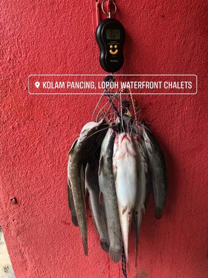 Lopoh Waterfront Budget Chalets Villa Hulu Langat Eksteriør billede