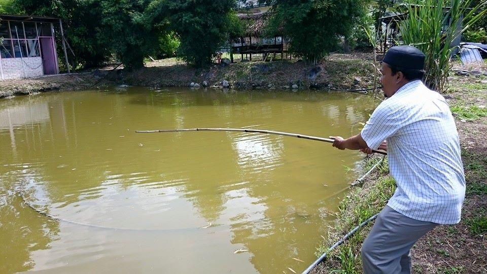 Lopoh Waterfront Budget Chalets Villa Hulu Langat Eksteriør billede