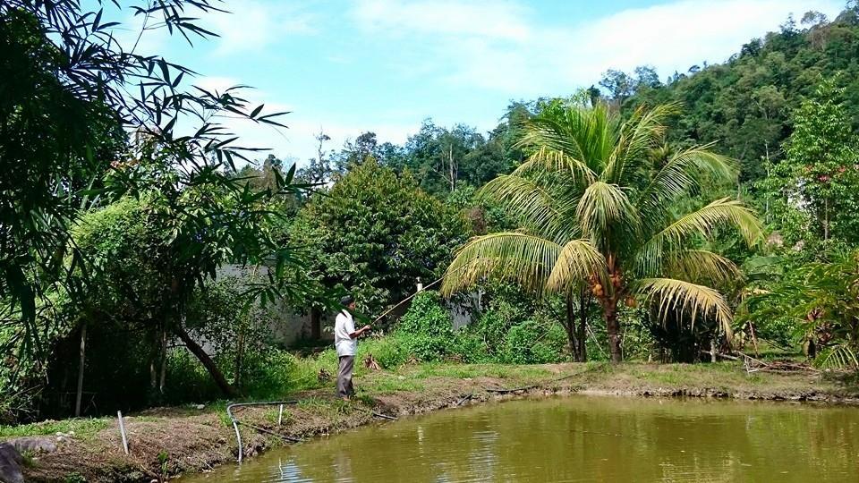 Lopoh Waterfront Budget Chalets Villa Hulu Langat Eksteriør billede